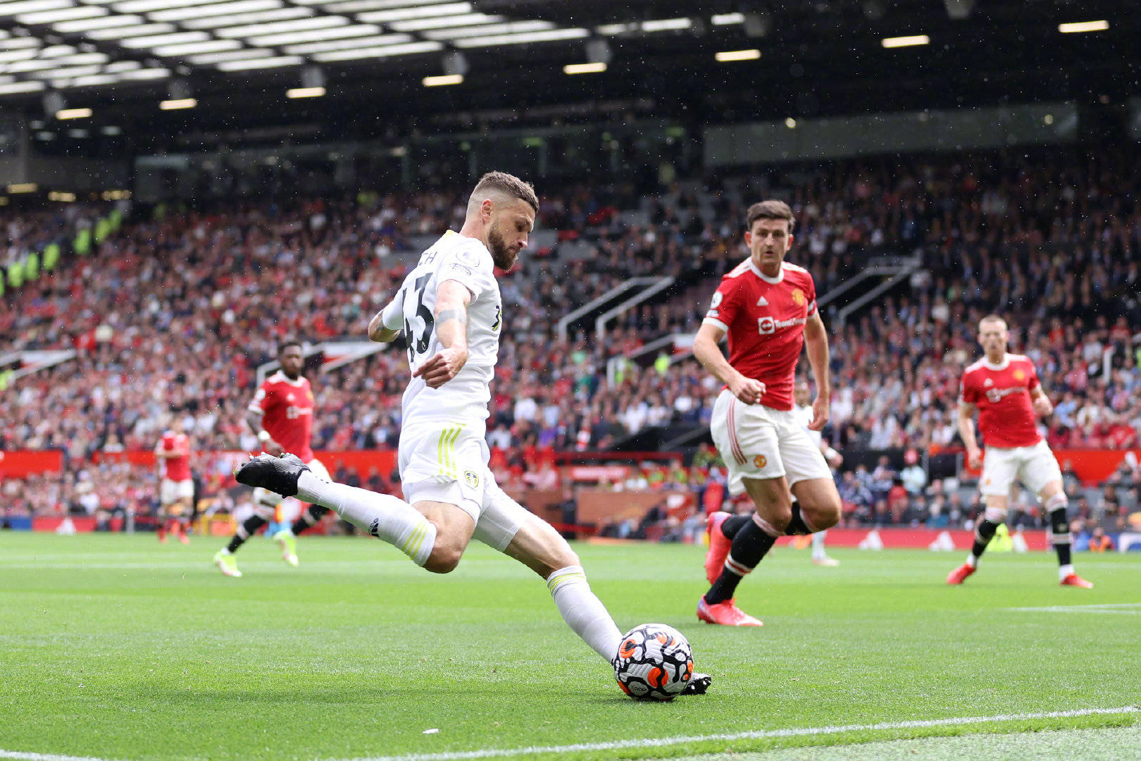 星选手的伟 星选手的伟