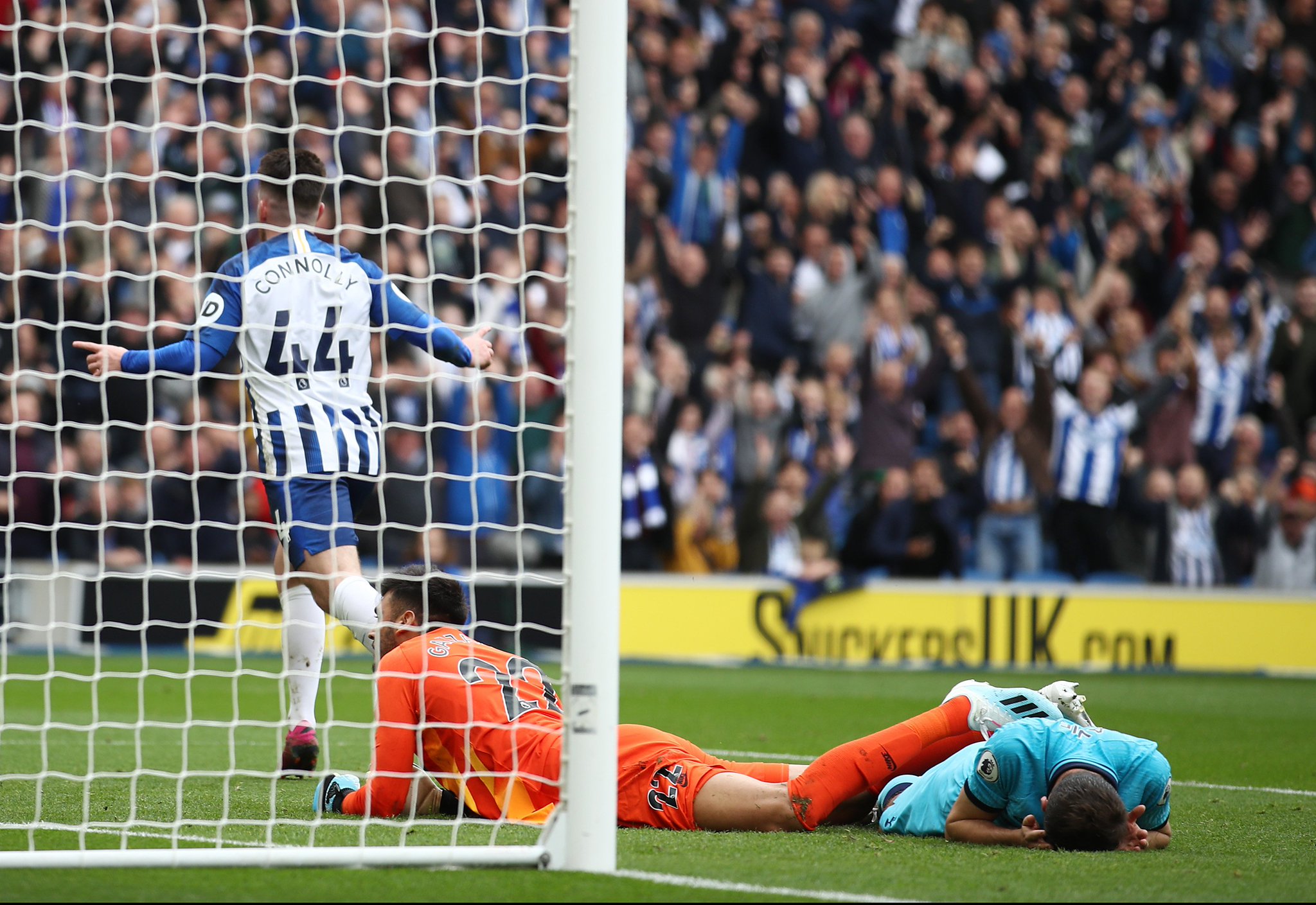 带来的观赏 带来的观赏